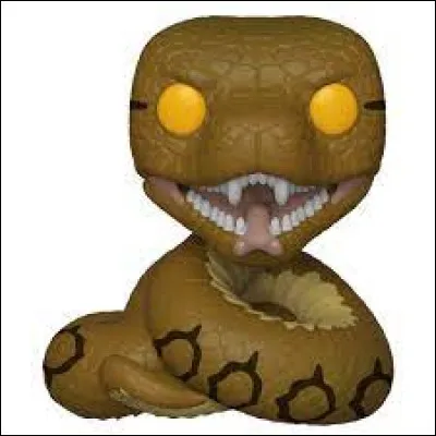 Quel est cet Horcruxe ?