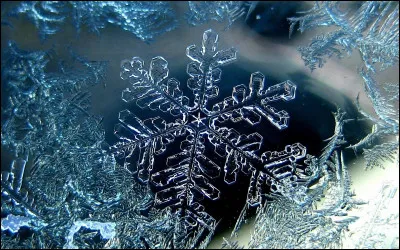 Vous &ecirc;tes n&eacute;e entre : (4)