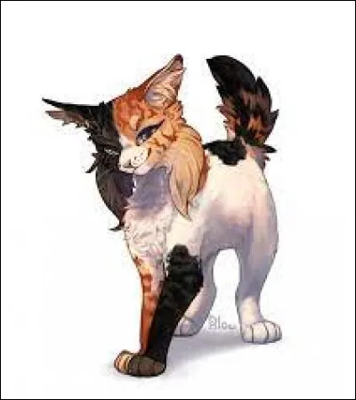 Que faites-vous si un étranger vous demande de l'héberger pour une nuit ?