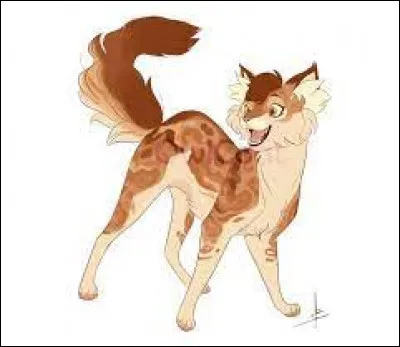 Avec qui aimerais-tu être ami ?