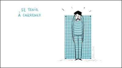 Que signifie "Se tenir à carreau" ?