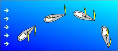 « Empannage chinois » : de quoi s'agit-il ?