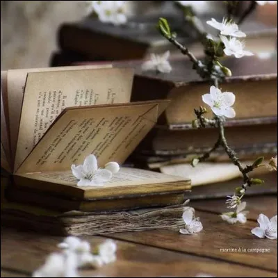 Qui nous a décrit l'inoubliable Petit Prince ?