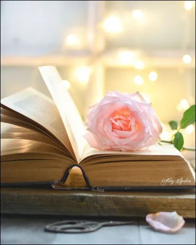 Qui est l'auteure du roman "Les Hauts de Hurlevent" ?