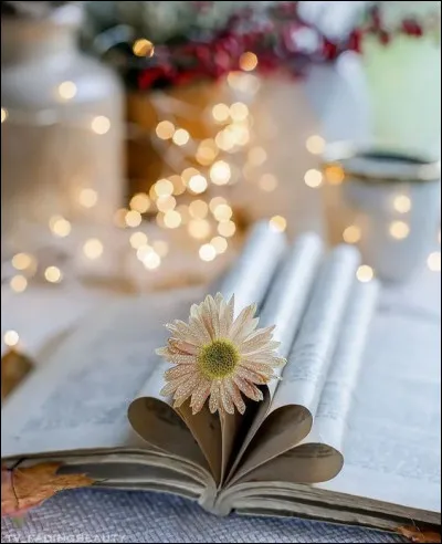 Qui est l'auteur du roman policier "La Comtesse de Cagliostro" ?