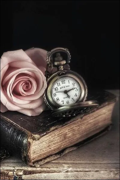 À qui doit-on "Le Loup des mers" ?