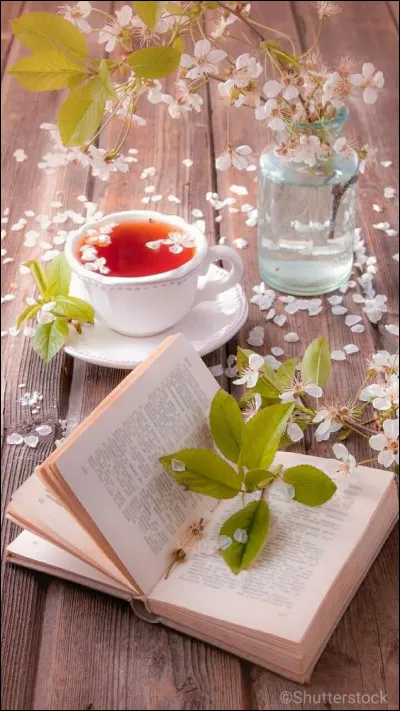 Qui a &eacute;crit "L'Eau des collines" ?