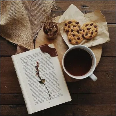 Qui a &eacute;crit "Fran&ccedil;ois le Champi" ?