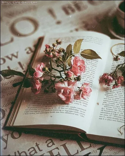 Qui a &eacute;crit "Le Bleu du ciel" ?