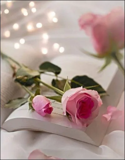 Qui a &eacute;crit "Double Assassinat dans la rue Morgue"