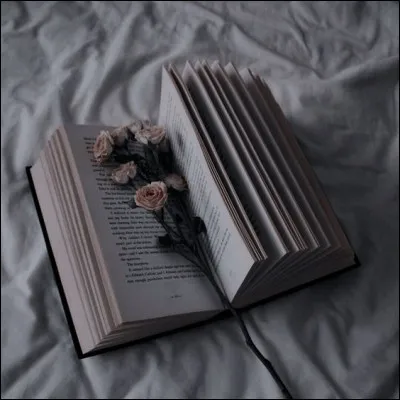 Qui est l'auteur de "L'Huile sur le feu" ?