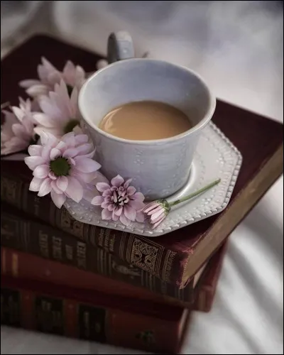 Qui est l'auteur de "Pilote de guerre" ?