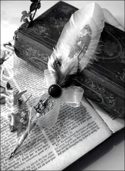 Qui a raconté sa propre histoire dans le livre intitulé "Papillon" ?