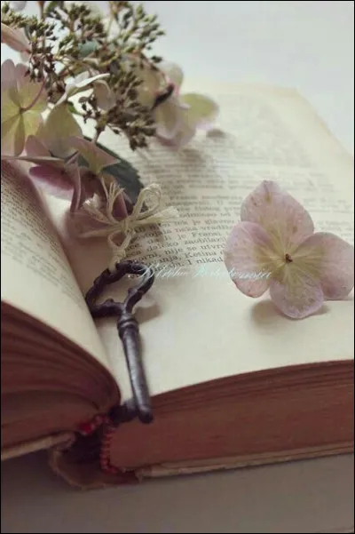 Sous la plume de qui, sont nés "Les Trois Mousquetaires" ?