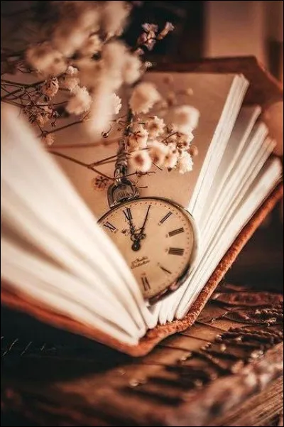 Qui relate ses souvenirs dans "Le Temps des Amours" ?