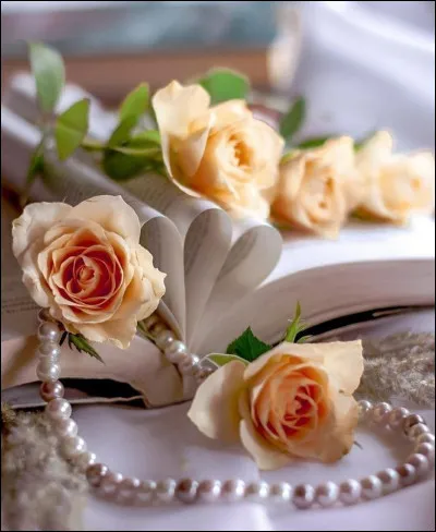 Qui est l'auteur de "La Nausée" ?