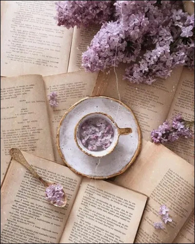 Qui est l'écrivain de "La Tête contre les murs" ?