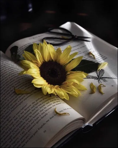 Qui nous a narré l'histoire de "La Princesse de Clèves" ?