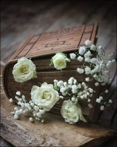 Qui a écrit "À la poursuite d'octobre Rouge" ?