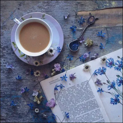 À qui doit-on "L'Affaire Saint-Fiacre" ?