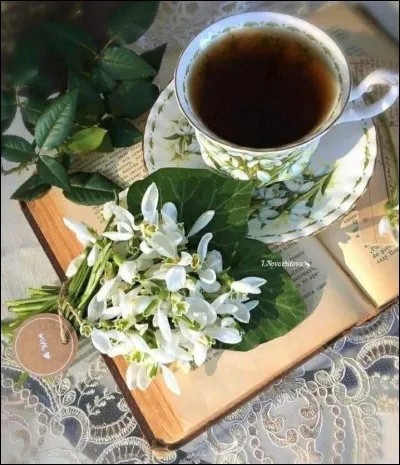 Sous la plume de qui est née la cuisine surnommée "Pot-Bouille" ?