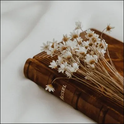 Qui a écrit "La Ficelle" ?