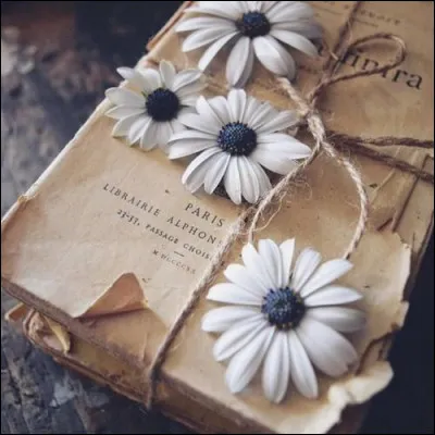 Qui est l'auteur du livre "Un Singe en hiver" ?