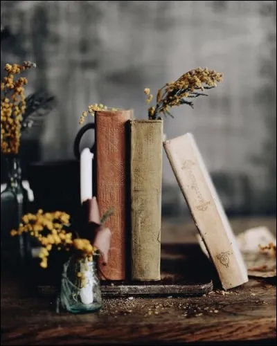 "Les Tribulations d'un Chinois en Chine" ! On revoit Belmondo dans ce film de Philippe de Broca ! Mais qui est l'auteur de ce livre ?