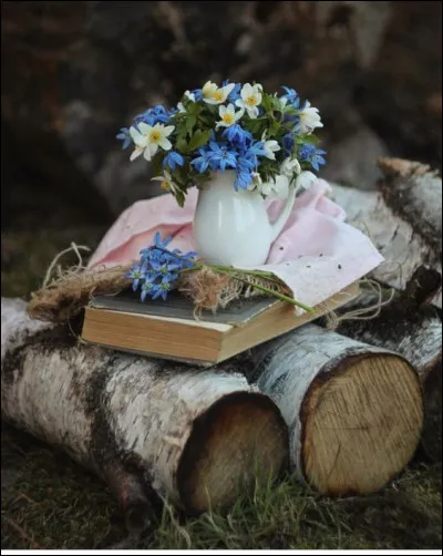 Toujours notre inoubliable Belmondo dans "L'Aîné des Fercheaux" ! Du roman de quel écrivain ce film a-t-il été adapté ?