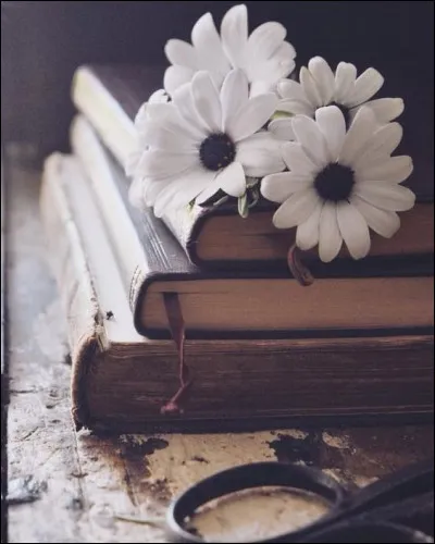 Qui est l'auteur du livre "Le Pont de la Rivière KwaÏ" ?