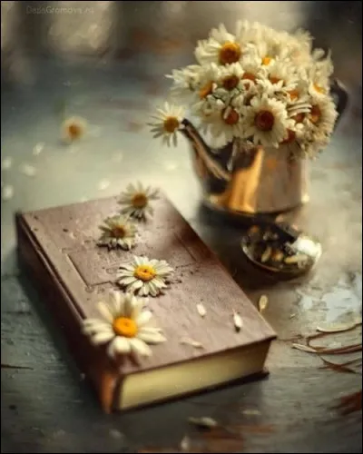 Qui fut l'écrivain de "La Guerre des Mondes", en 1898 ?