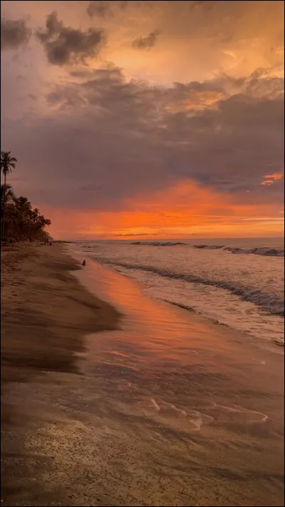 Dans un dernier espoir, que font ceux qui sont dans la faiblesse ?