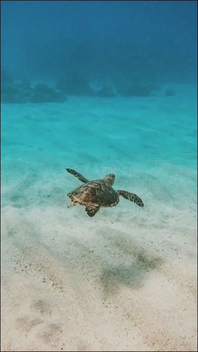 Comment le protagoniste se sent-il ?