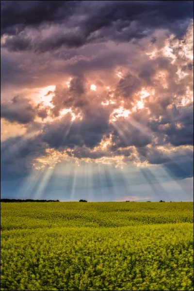 Sur quelle note le violon s'accorde-t-il ?