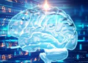 Quiz L'intelligence dans tous ces tats