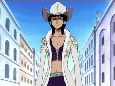 Quel fruit du démon a mangé Miss All-Sunday ? (Nico Robin)