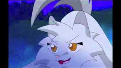 Un chat te défie au combat !