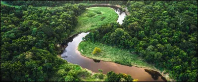Un éléphant est-il herbivore ?