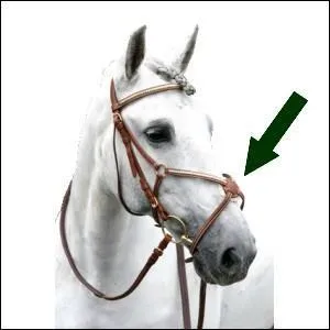 C'est une muserolle...