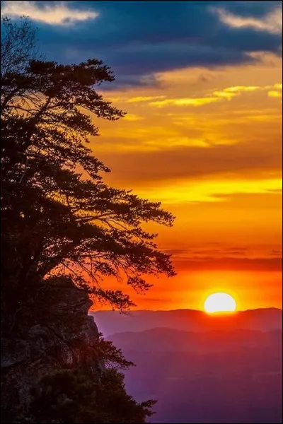 Sur quelle chaîne la série "Plus belle la vie" est-elle diffusée en 2022 ?