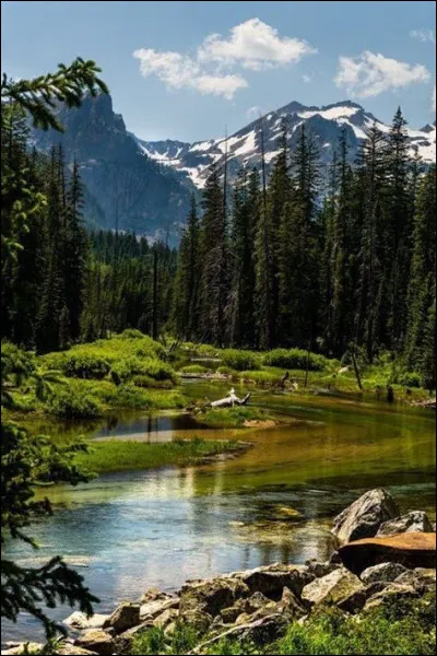 Quel est le diamètre des tubes de RMN pour de la RMN du tungstène ?