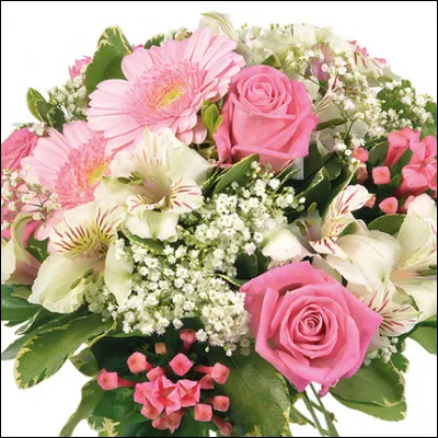 Quelle est la fleur associée à la couleur rose ?