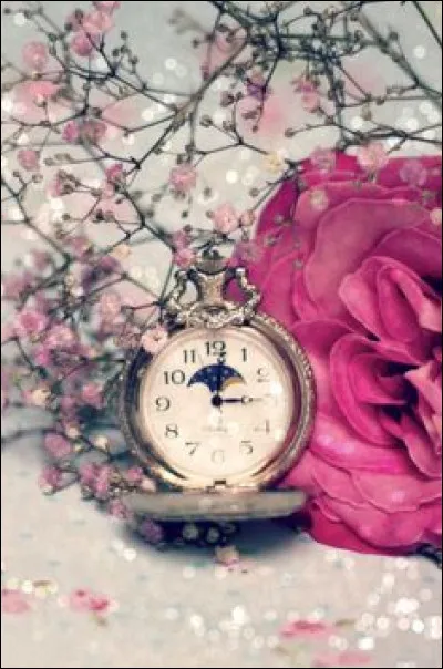 De quand date la rose ?