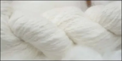 Quel animal produit l'angora ?