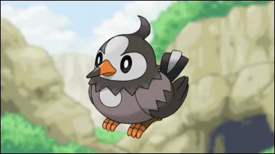 En quoi évolue Étourmi ?