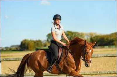 Le sport où il y a le plus d'accident est l'équitation.
