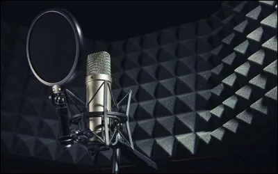 Bonus : quel est le point commun entre un chanteur et un philosophe ?