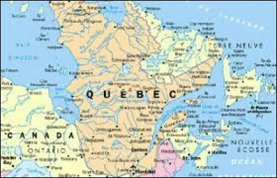 J'y ai dit viens derrière le bois - Comme ça bêtement pour rien !