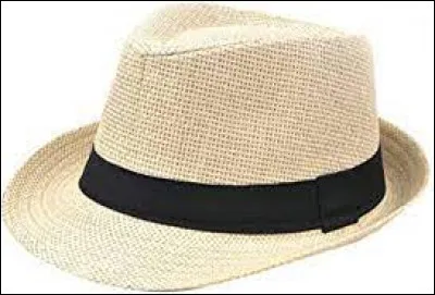 Ce sont des feuilles du carludovica palmata qui sont utilisées pour fabriquer le célèbre chapeau Panama.