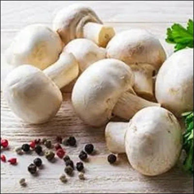 Littérature : 
Parue dans Charlie Hebdo en neuf épisodes, entre le 4 juillet et le 29 août 2007, ''Les Champignons de Paris'' est une nouvelle qui raconte l'histoire de Sidoine, parisien de souche, qui escroque les amis de personnes défuntes pour gagner sa vie.
Quelle romancière est l'auteure de cet ouvrage ?